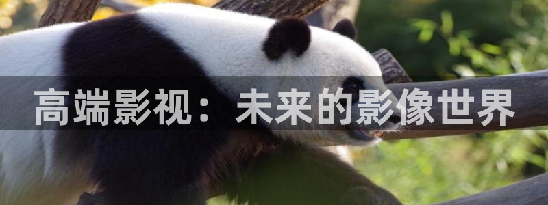 九九在线影院免费高清：高端影视：未来的影像世界