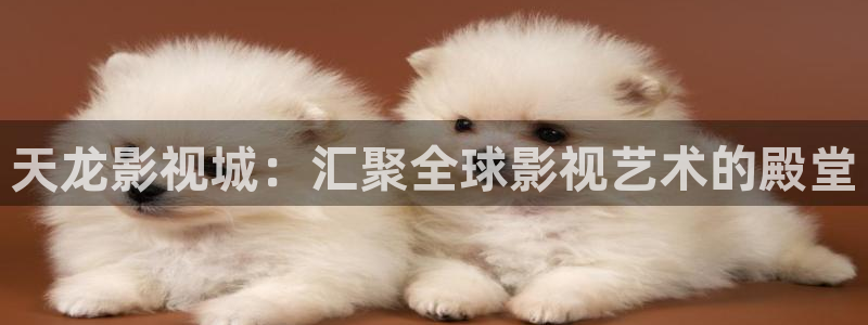 久久电影九九影院：天龙影视城：汇聚全球影视艺术的殿堂