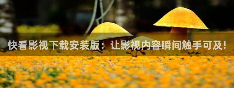 九九电影网站：快看影视下载安装版：让影视内容瞬间触手可及!