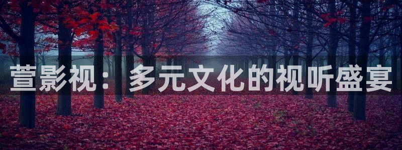 九九视频专区：萱影视：多元文化的视听盛宴
