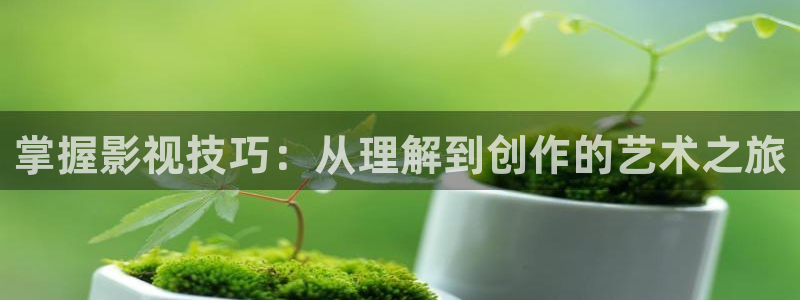 九九电影在线观看免费播放电视剧：掌握影视技巧：从理解到创作的艺术之旅