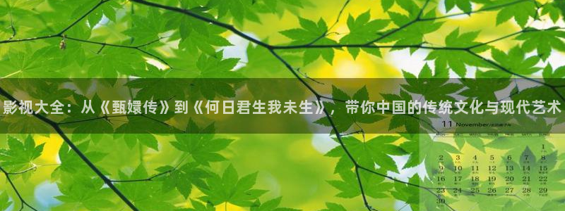 九九在线热播视频：影视大全：从《甄嬛传》到《何日君生我未生》，带你中国的传统文化与现代艺术