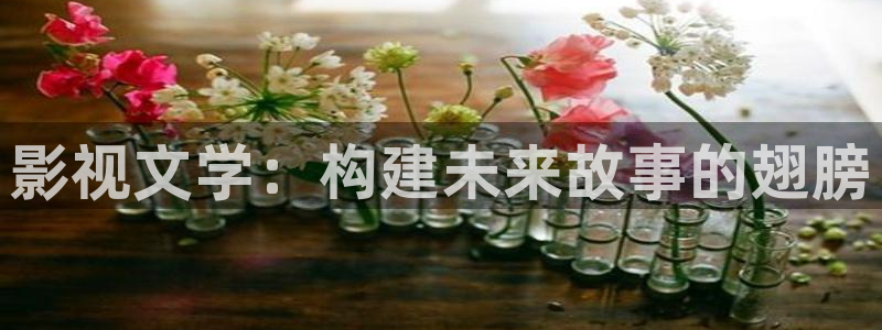 九九视频这里只有精品：影视文学：构建未来故事的翅膀