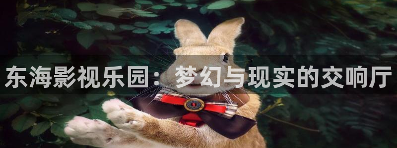 九九小视频：东海影视乐园：梦幻与现实的交响厅