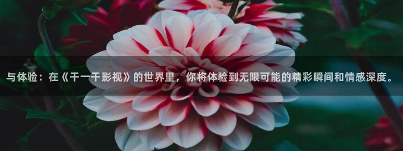 九九九九九九在线观看免费高清电视剧：与体验：在《干一干影视》的世界里，你将体验到无限可能的精彩瞬间和情感深度。
