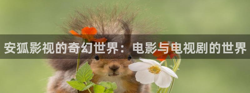 九九视频久久视频：安狐影视的奇幻世界：电影与电视剧的世界